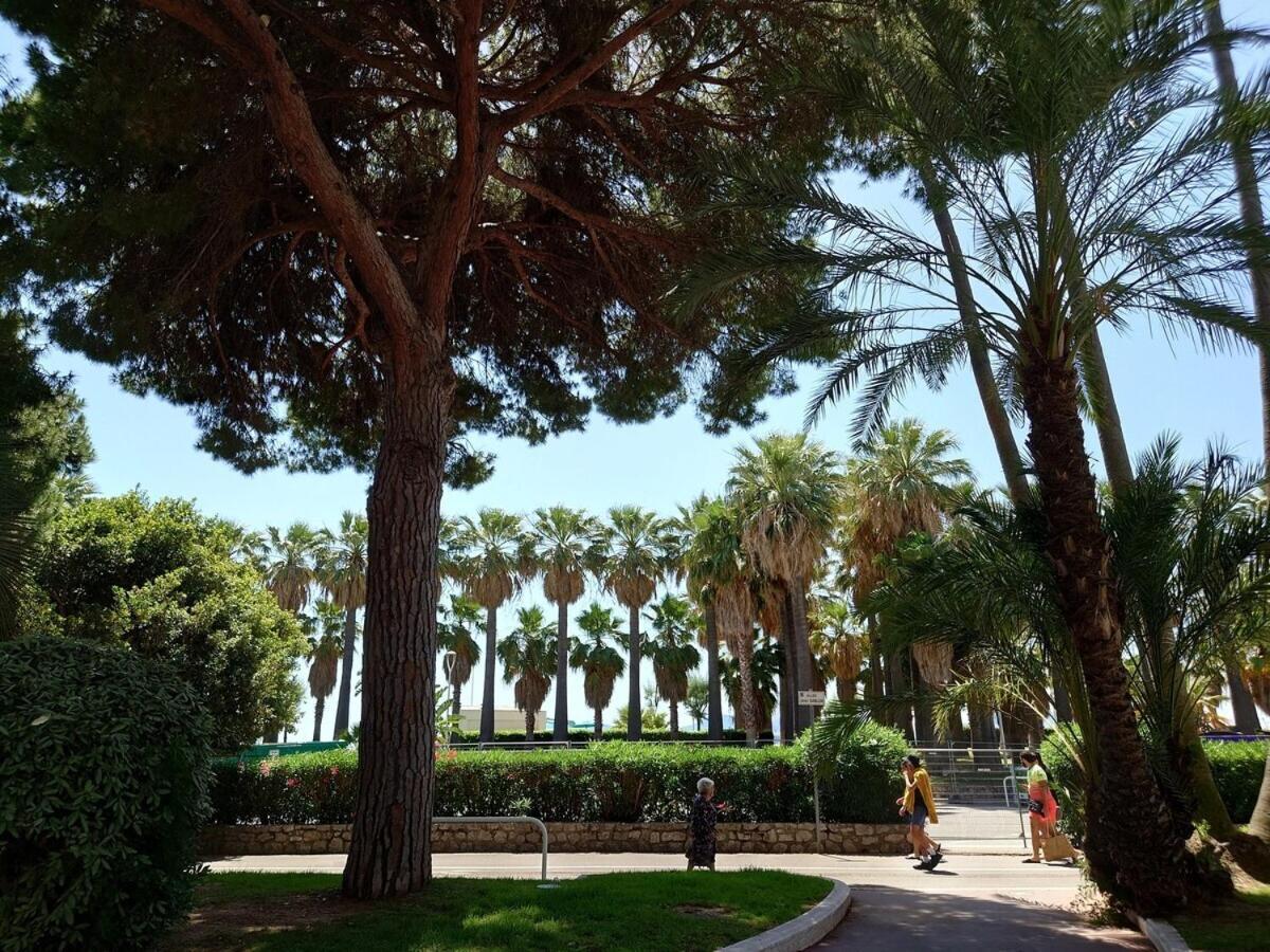 Sunrise & Sunset Palm Beach Croisette Cannes Esterno foto